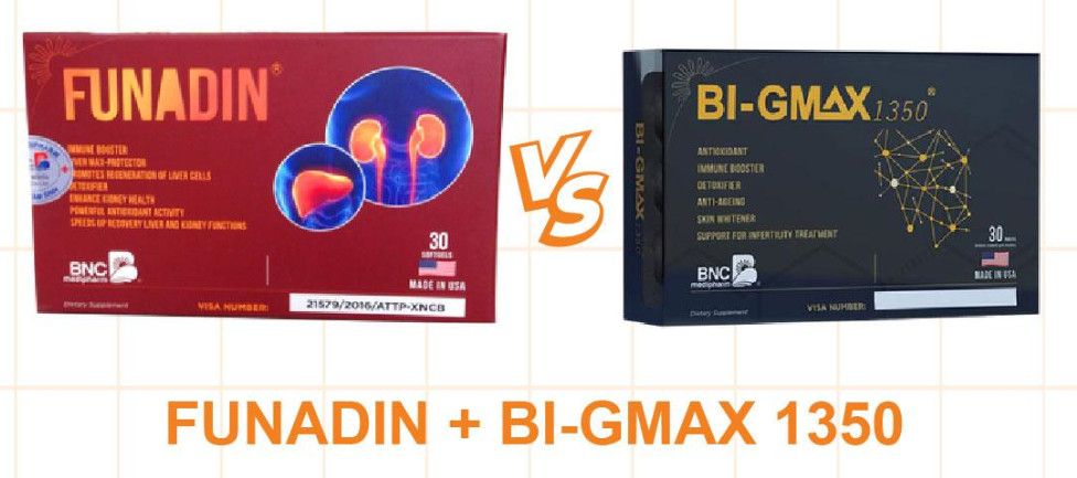 funadin và bi-gmax 1350