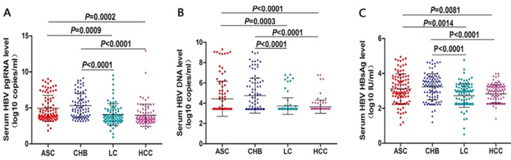 RNA tiền gen của virus viêm gan B