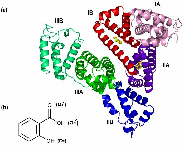 Albumin giá bao nhiêu và mua như thế nào