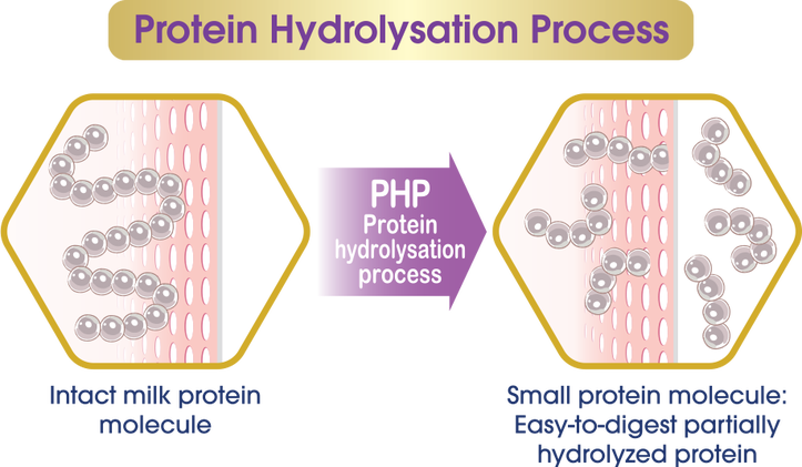 Albumin giá bao nhiêu và mua như thế nào