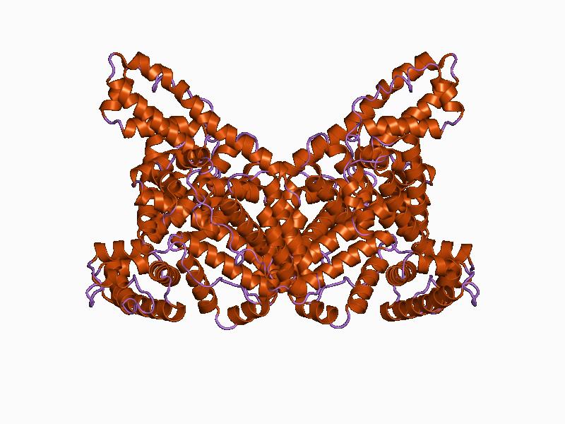 Albumin là gì và công dụng ra sao