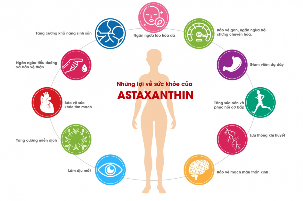 Astaxanthin hàng nào tốt và công dụng ra sao