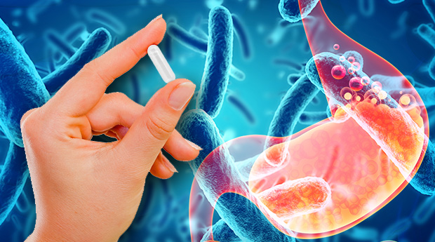 Bacillus Coagulans là gì và công dụng của nó ra sao