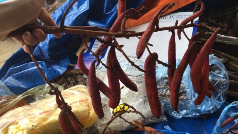 Bài thuốc tăng cường sinh lý nữ an toàn hiệu quả