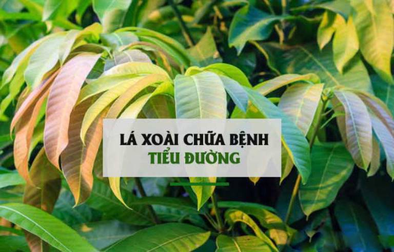 Bài thuốc trị tiểu đường thần kỳ hiệu quả