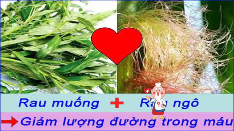 Bài thuốc trị tiểu đường thần kỳ hiệu quả