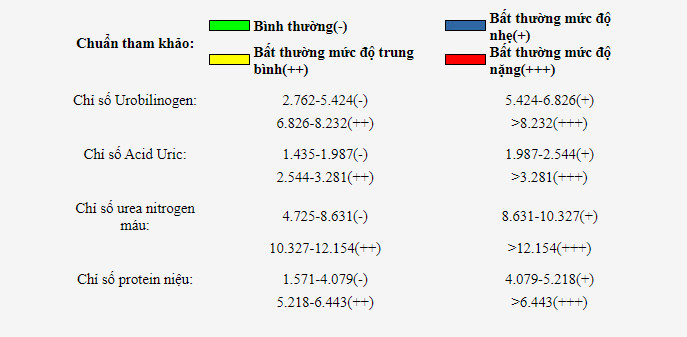 Bảng phân tích chức năng thận