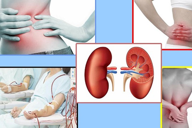 Bảng phân tích chức năng thận