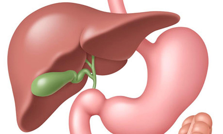 Bảng phân tích chức năng túi mật