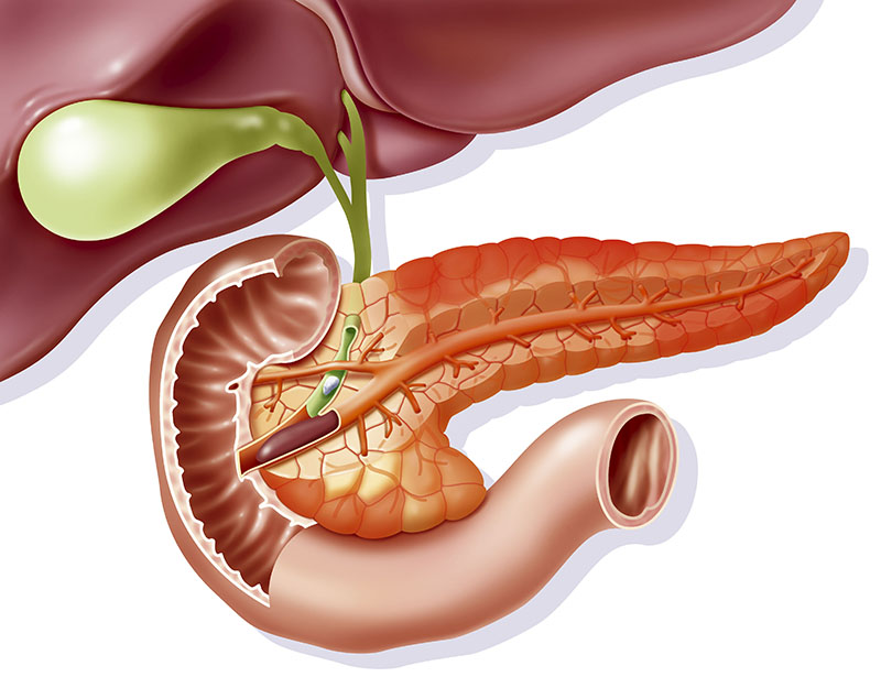 Bảng phân tích chức năng tụy