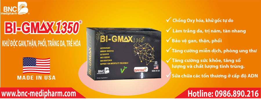 bi-gmax 1350