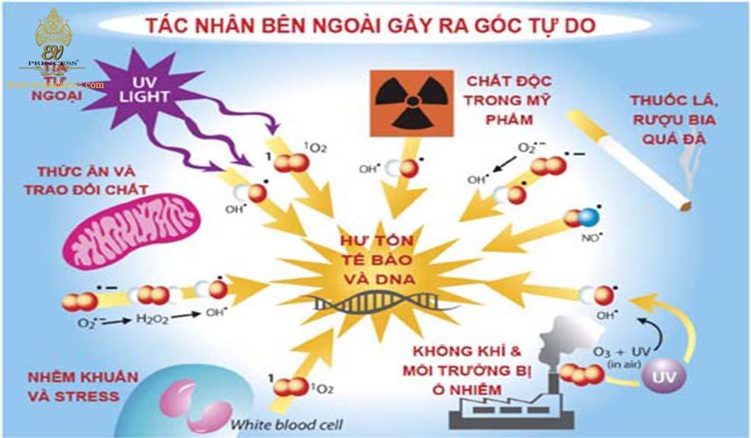 Bệnh mất tập trung ở người lớn và cách khắc phục ra sao