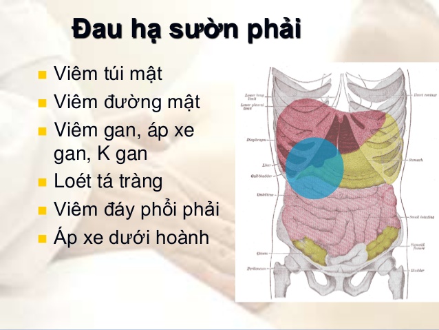 Bệnh men gan cao có nguy hiểm không và cách điều trị