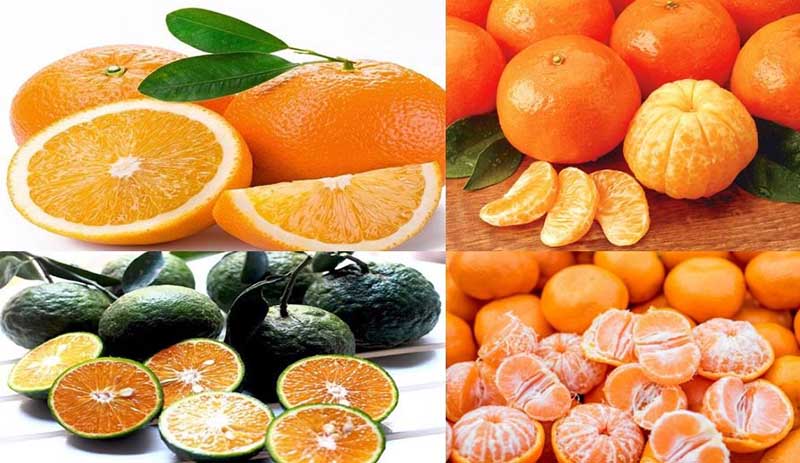 Bệnh tai biến mạch máu não nên ăn gì
