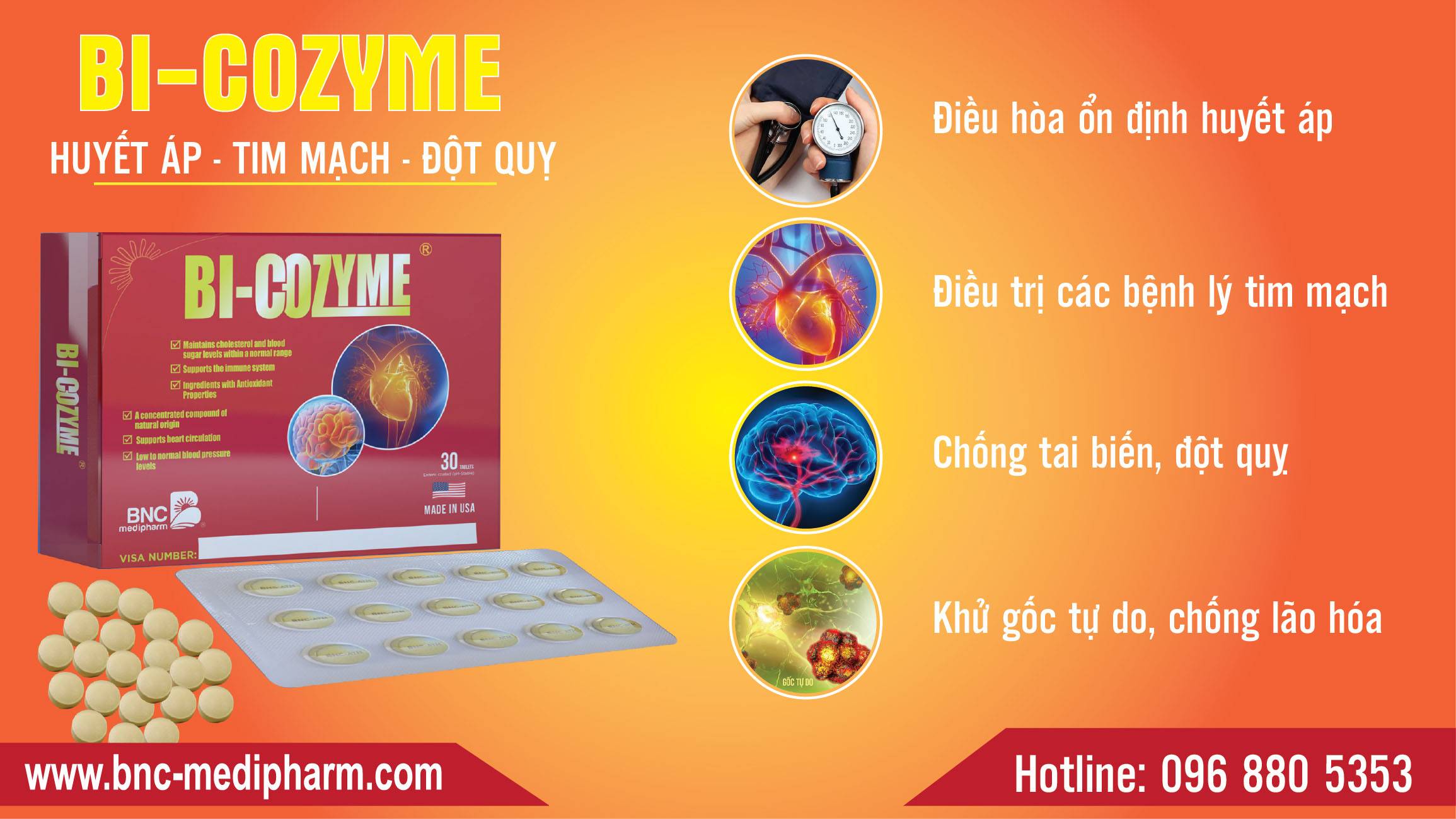 Bi-Cozyme - Bổ tim mạch, huyết áp giúp điều trị bệnh mạch vành