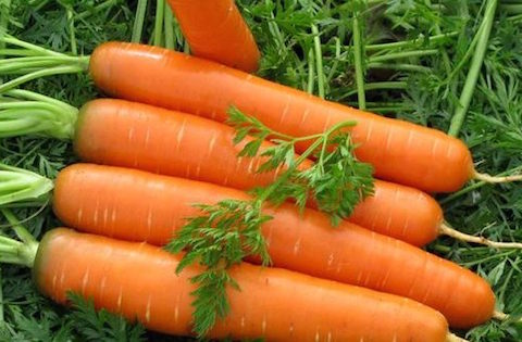 Bị đau dạ dày nên ăn gì tốt cho bệnh