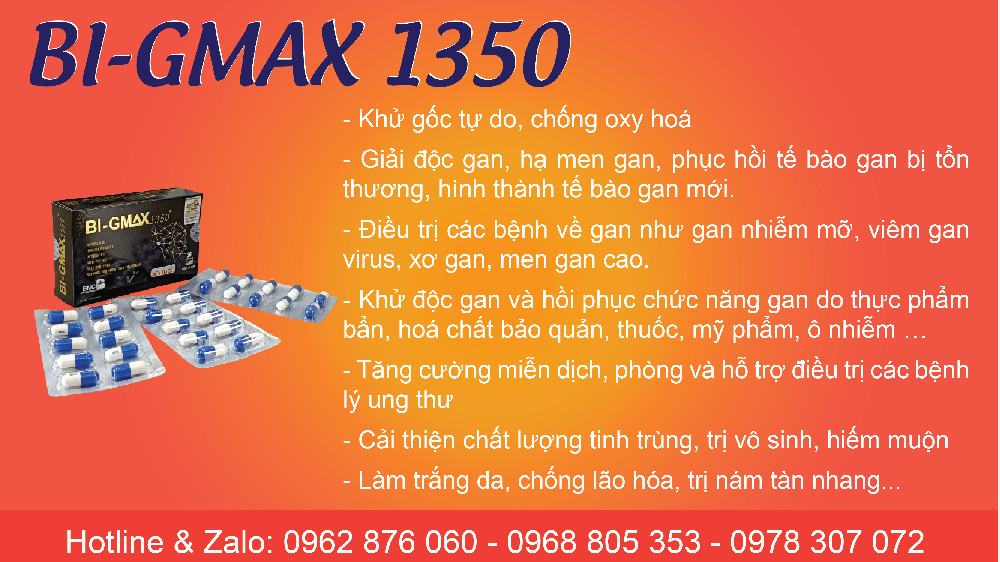 Bi-Gmax 1350