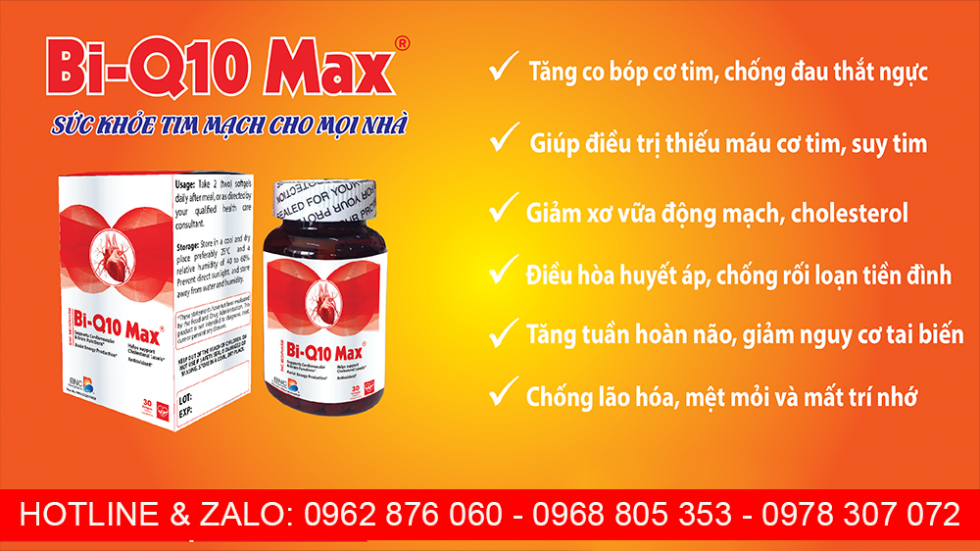 bi-q10 max