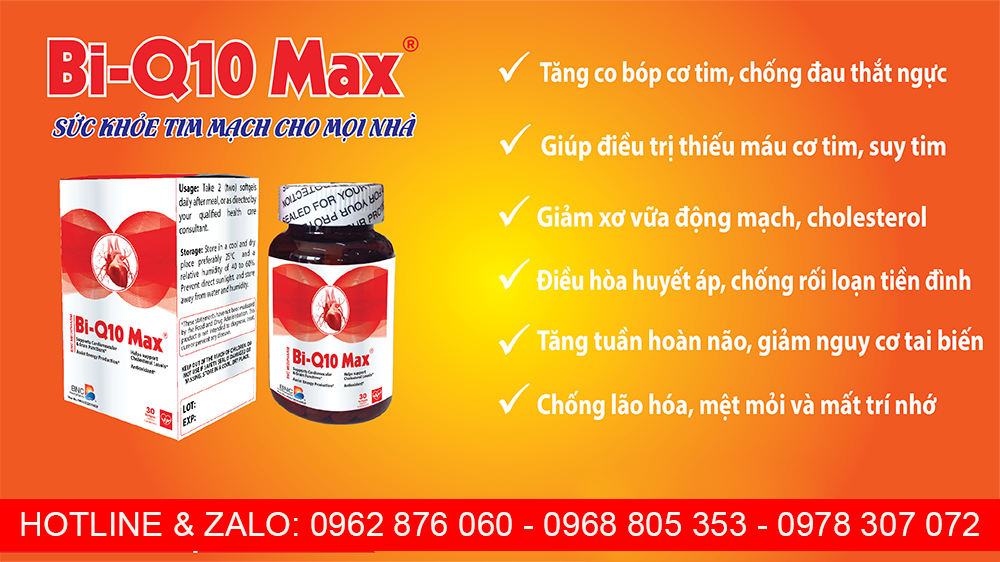 bi-q10-max