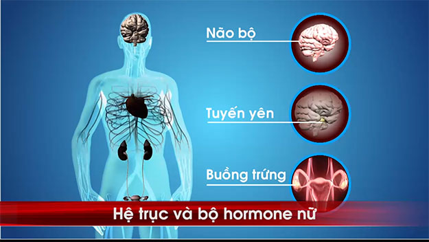 Bí quyết giúp chị em giữ gìn sắc đẹp và sinh lý nữ