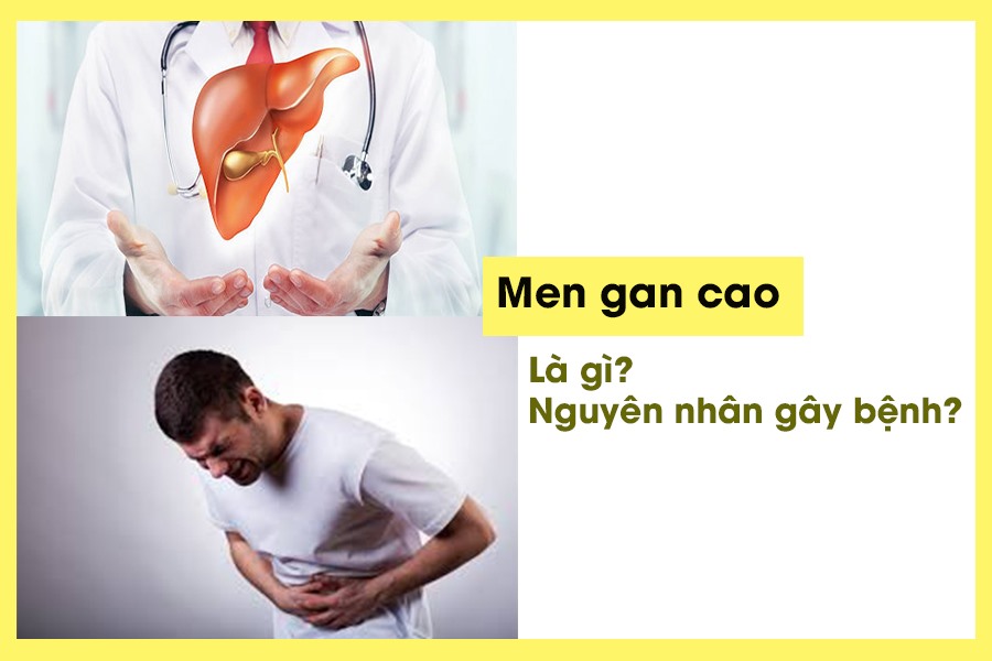 Bia Rượu và các bệnh lý gan - thận và Các Giải pháp giải độc