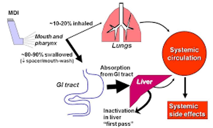 CẬP NHẬT ĐIỀU TRỊ HEN PHẾ QUẢN