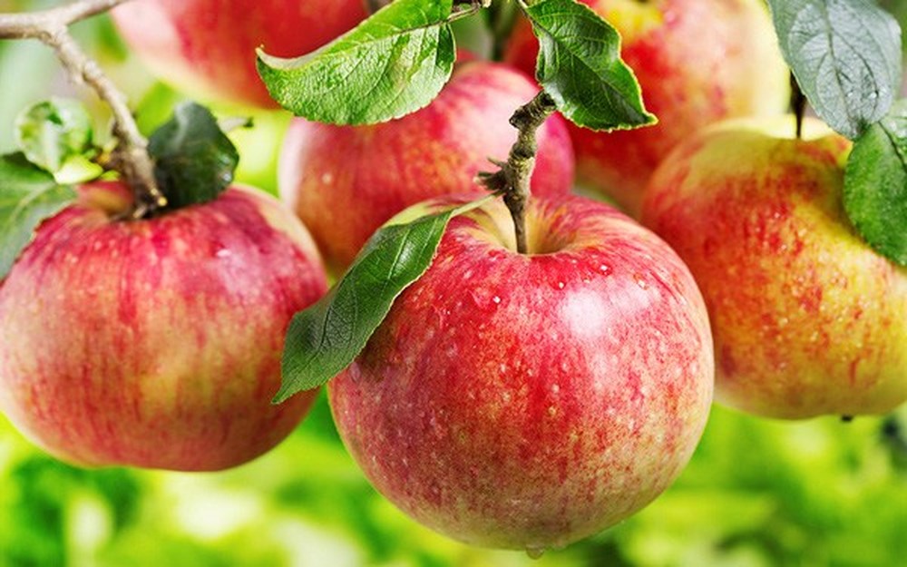 Các loại quả trị ung thư bạn nên biết