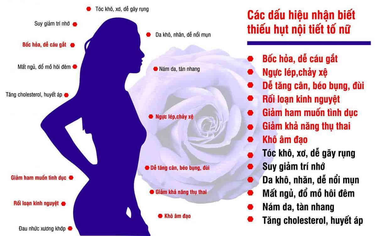 Các loại thuốc tăng nội tiết tố nữ như thế nào