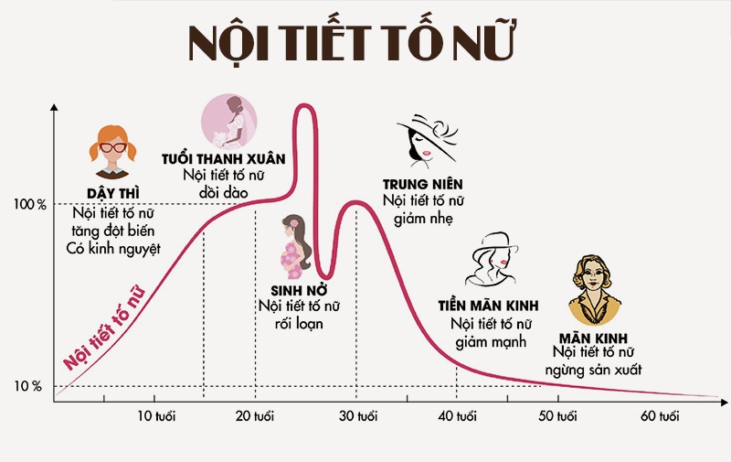 Cách chữa bệnh rối loạn nội tiết tố nữ