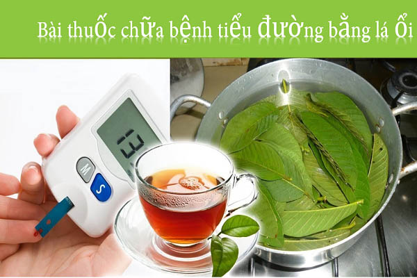 Cách chữa bệnh tiểu đường bằng lá ổi hiệu quả
