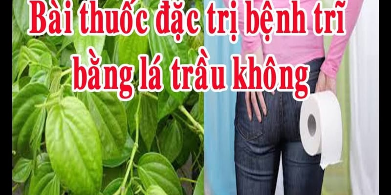 Cách chữa bệnh trĩ bằng dân gian hiệu quả