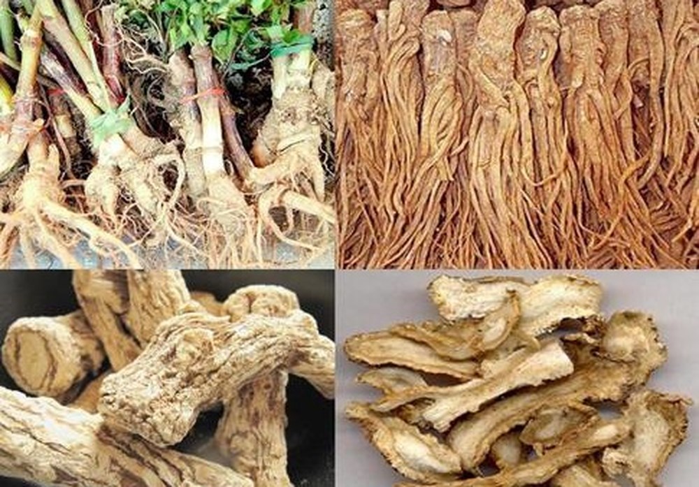 Cách chữa rối loạn nội tiết tố nữ bằng đông y an toàn hiệu quả