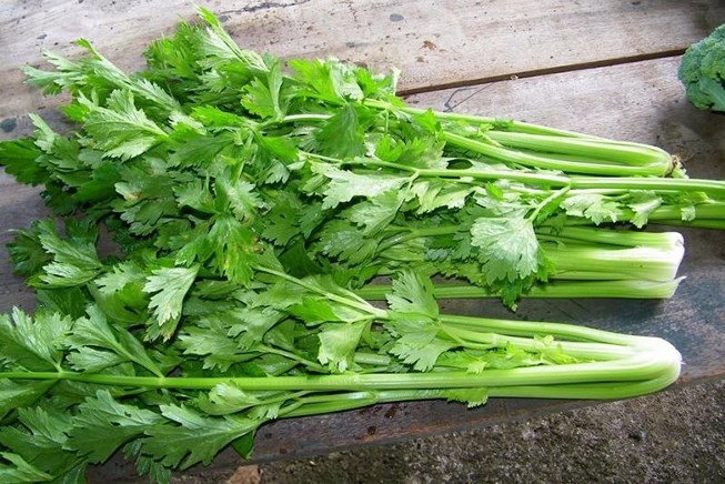 Cách chữa viêm đường tiết niệu bằng thảo dược an toàn hiệu quả