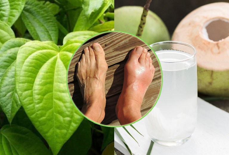 Cách chữa viêm phế quản mãn tính bằng lá trầu không