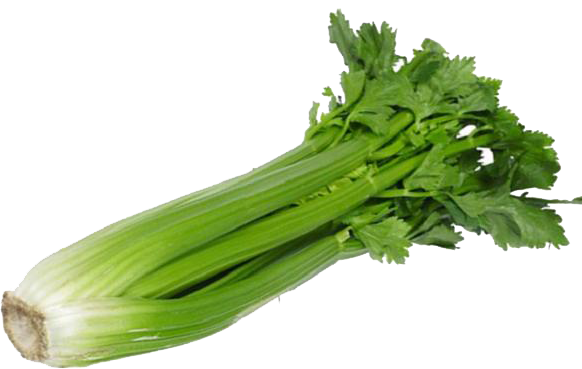 cách điều trị bệnh cao huyết áp ở người trẻ như thế nào