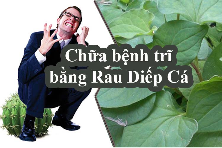 Cách điều trị bệnh trĩ tại nhà bằng ra diếp cá hiệu quả