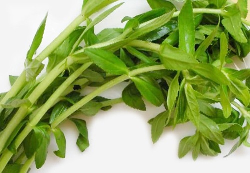 Cách trị bệnh sỏi thận hiệu quả nhất hiện nay
