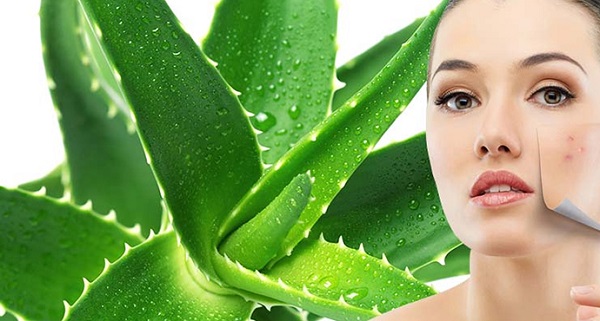 Cách trị nám da mặt hiệu quả nhất 