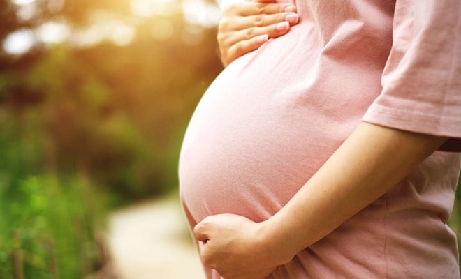 Cây lạc tiền có tác dụng gì với sức khỏe con người