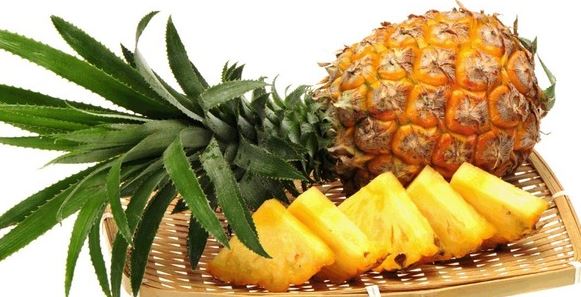 Cây thuốc nam chữa sỏi thận