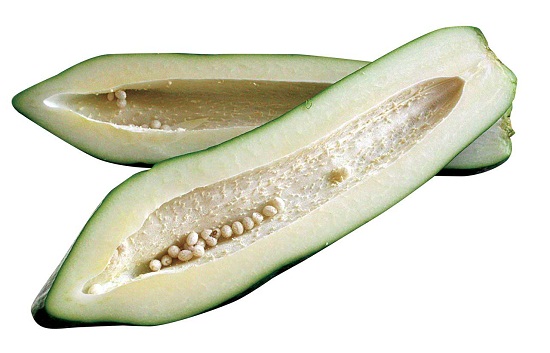 Cây thuốc nam chữa sỏi thận