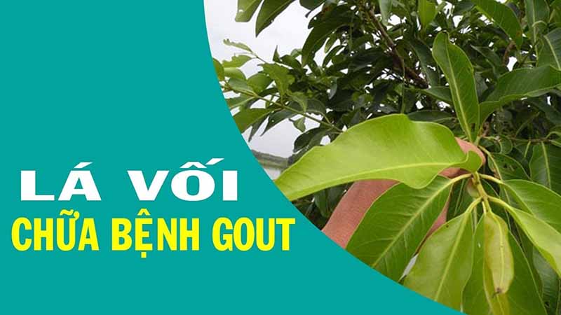 Chè vối có tác dụng gì với sức khỏe con người