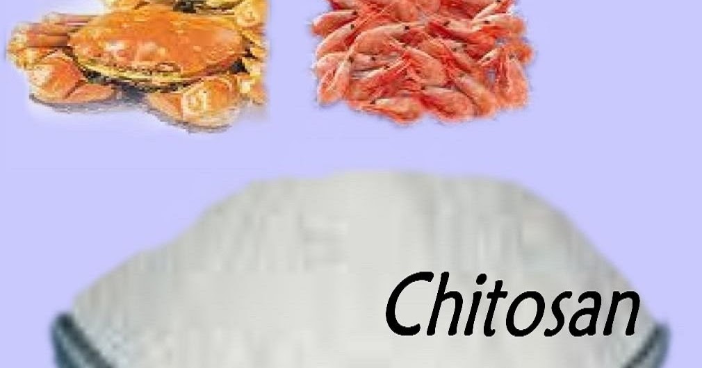 Chitosan có tác dụng gì với sức khỏe con người