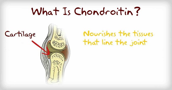 Chondroitin có tác dụng gì với sức khỏe con người