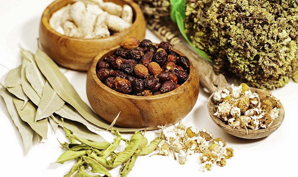 Chữa bệnh sỏi thận bằng thuốc đông y