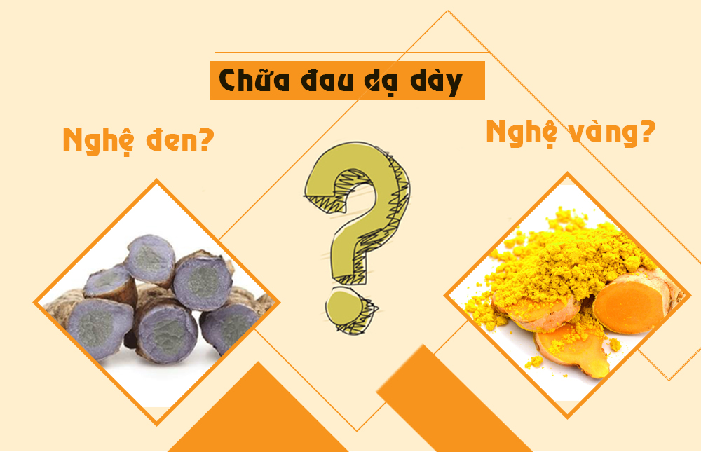 Chữa đau dạ dày bằng nghệ đen hay nghệ vàng