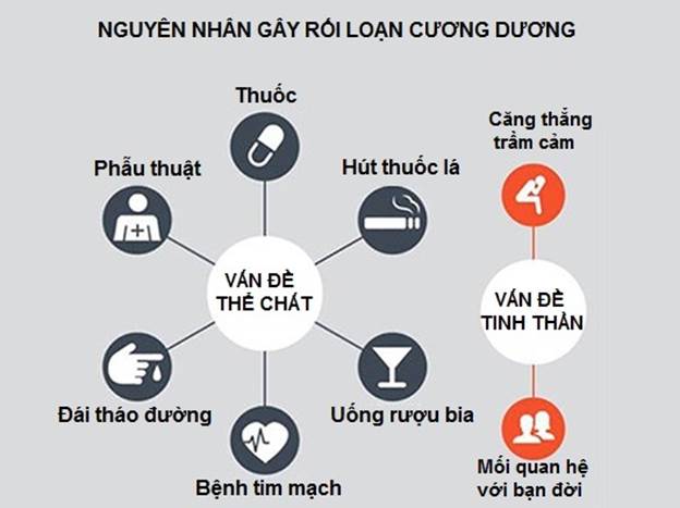 Chữa rối loạn cương dương bằng trứng gà an toàn hiệu quả