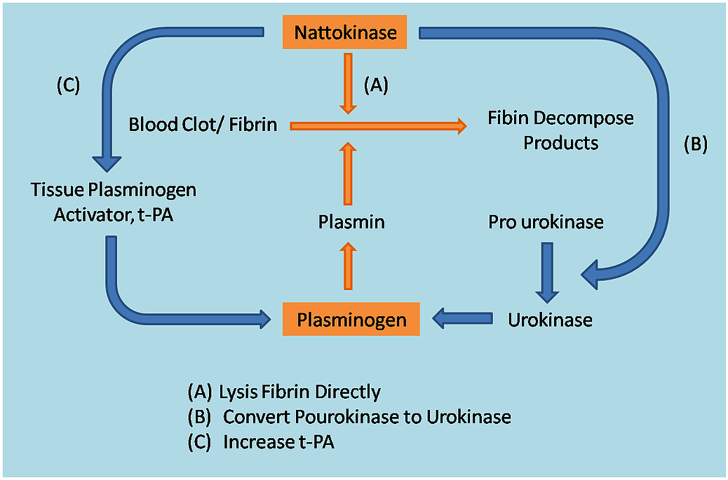 Loại thuốc điều trị cao huyết áp nào tốt nhất hiện nay