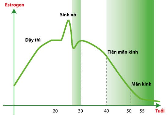 Có nên bổ sung nội tiết tố nữ không và bổ sung như thế nào