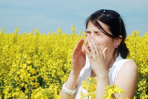 Có nên uống sữa ong chúa không và uống như thế nào